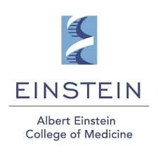 Summer Undergraduate Research Program