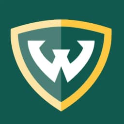 Summer Undergraduate Research Program