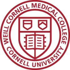 Travelers Summer Research Fellowship Program